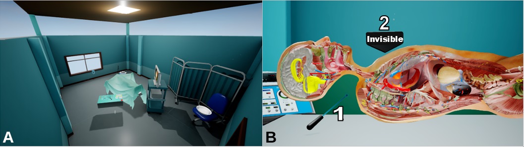 Immersive Anatomy Atlas: Learning Factual Medical Knowledge in a Virtual Reality Environment