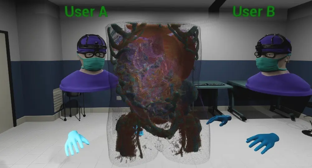 Volumetric Medical Data Visualization for Collaborative VR Environments
