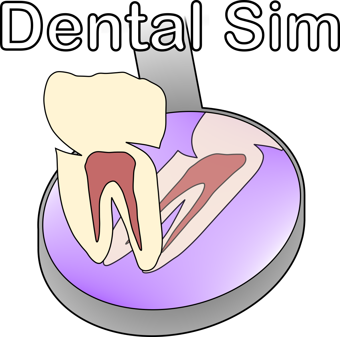 Dental Simulator Logo