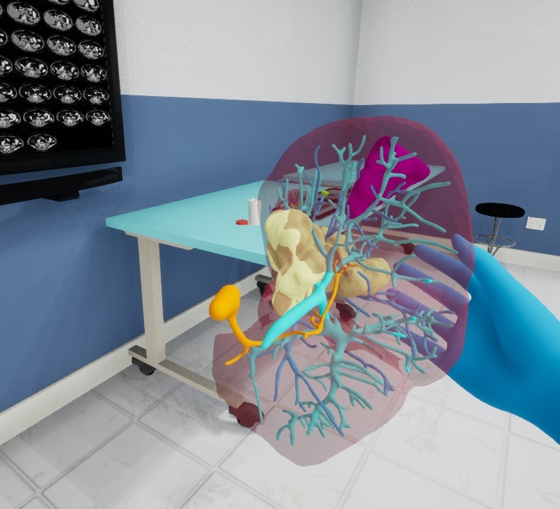 Interactive virtual organs