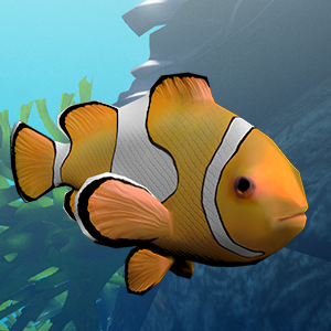 Clownfish