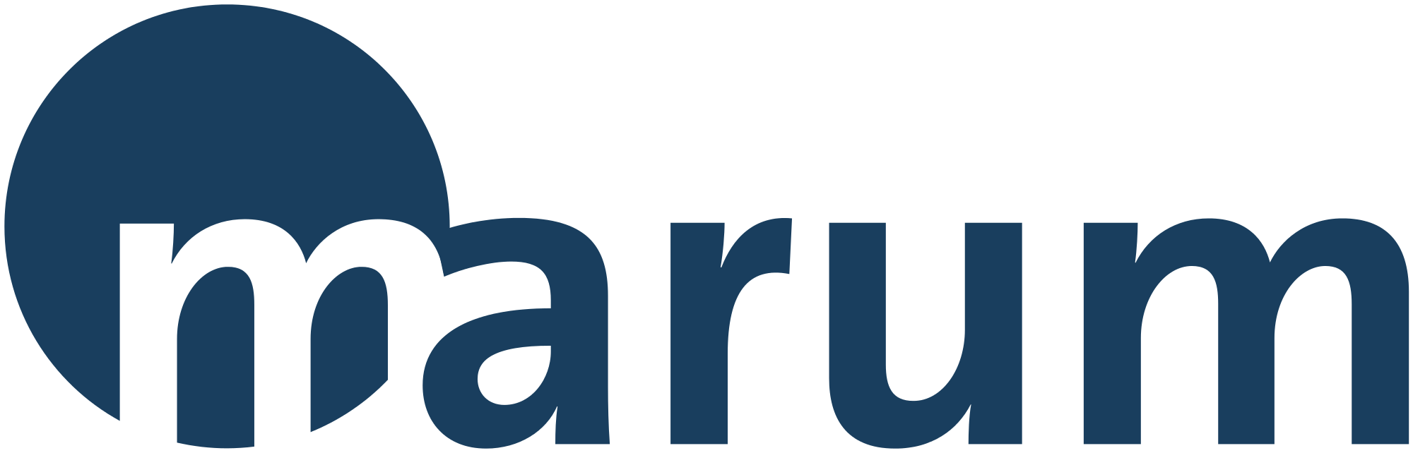 The Marum Website